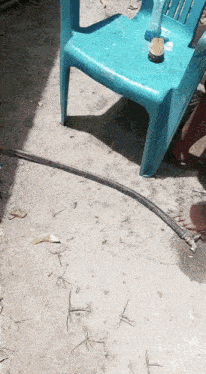 a blue chair sits on a dirt ground next to a black hose