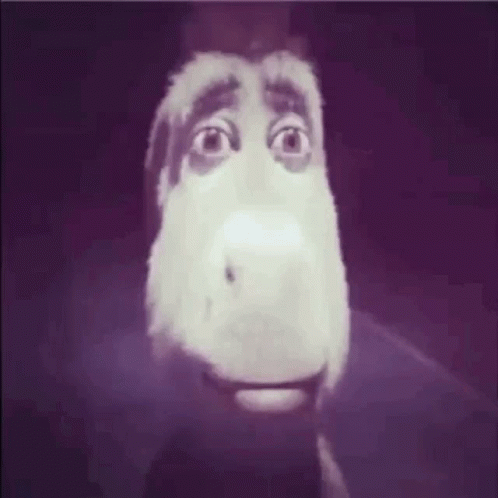 Donkey Scary GIF - Donkey Scary Personabeys GIFs