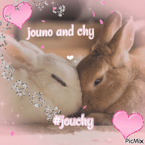 a picture of two rabbits kissing with the words jouno and chy above them