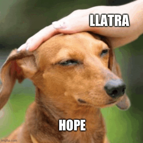 a person is petting a dachshund 's head with a caption that says hope