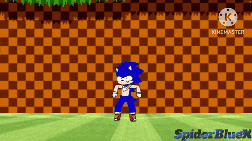 a cartoon of sonic dancing in front of a checkered wall