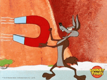 wile e coyote from looney tunes holding a large magnet