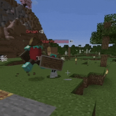 a screenshot of a minecraft game with a tree and a torch in the foreground