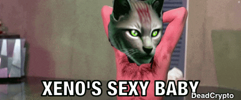 a picture of a cat with the words xeno 's sexy baby