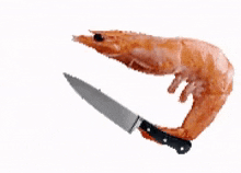 a shrimp with a knife sticking out of it 's tail