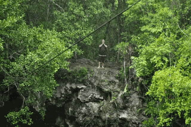 a person standing on a rock in a forest