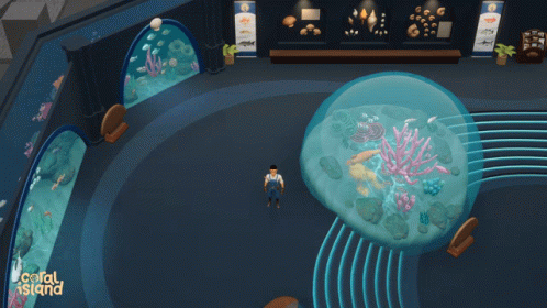 Coral Island Museum GIF - Coral Island Museum Sections GIFs