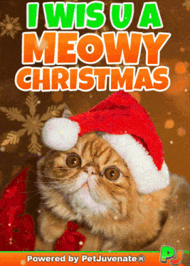 a cat wearing a santa hat with the words i wish u a meowy christmas behind it