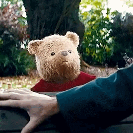 a teddy bear wearing a red shirt is being held by someone 's hand