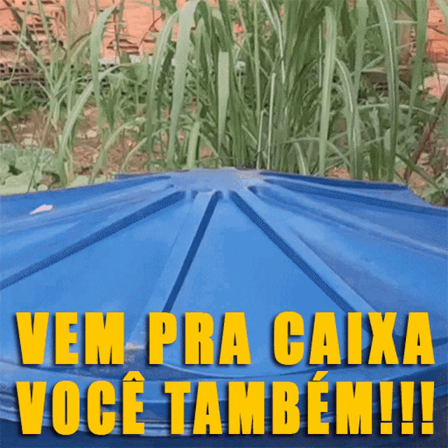 a blue container with the words vem pra caixa voce também !!!