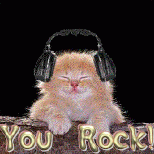 You Rock Cat GIF - You Rock Cat Cute GIFs