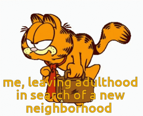 Garfield Enough GIF - Garfield Enough Tired GIFs