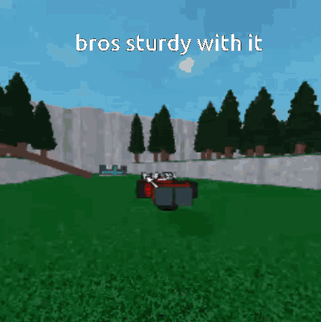 a screen shot of a video game with the words bros sturdy with it