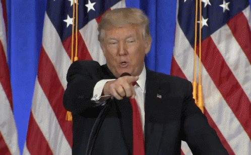 Trump Donald Trump GIF - Trump Donald Trump President GIFs