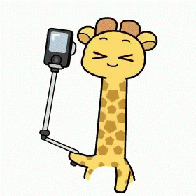 Giraffe Selfie GIF