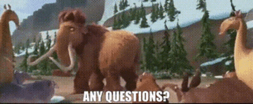 a group of animals are standing in a field with the words any questions written on the bottom .