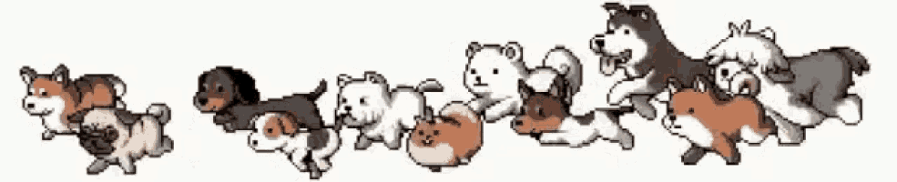 a group of dogs are standing in a row on a white background
