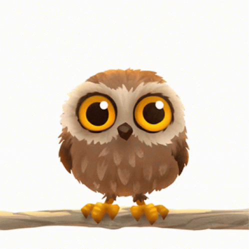 Hoot Owl GIF