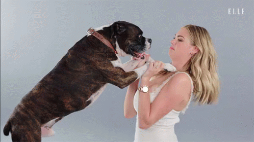 Kate Upton With Her Dog GIF - Kate Upton Kisses Dog GIFs