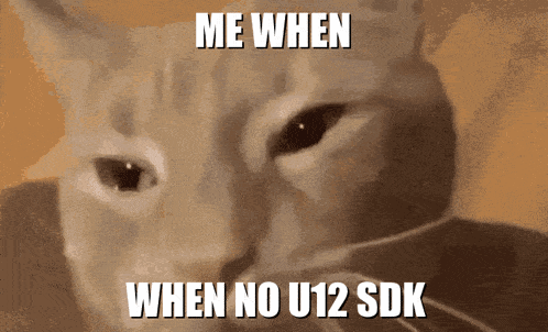 Cat U12 GIF - Cat U12 Sdk GIFs