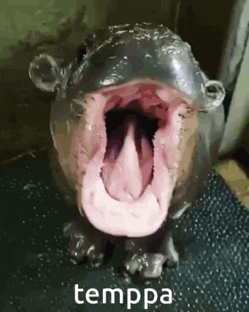 a hippopotamus with its mouth open and its tongue sticking out with the word temppa below it