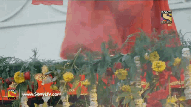 a screen shot of a sony tv show with flowers in the foreground