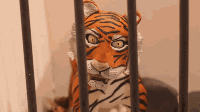 Zoo Animal GIF - Zoo Animal Tiger GIFs