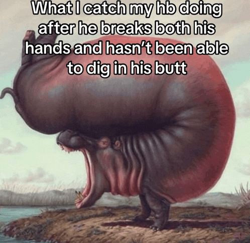 a painting of a hippo with the caption what i catch my hb doing