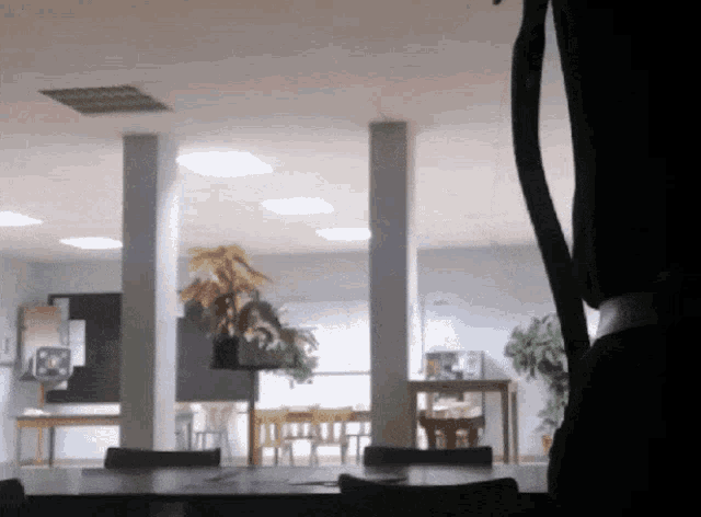 a room with a table and chairs and a plant in the corner