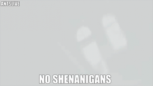 Antslive No Shenanigans GIF - Antslive No Shenanigans No Drama GIFs