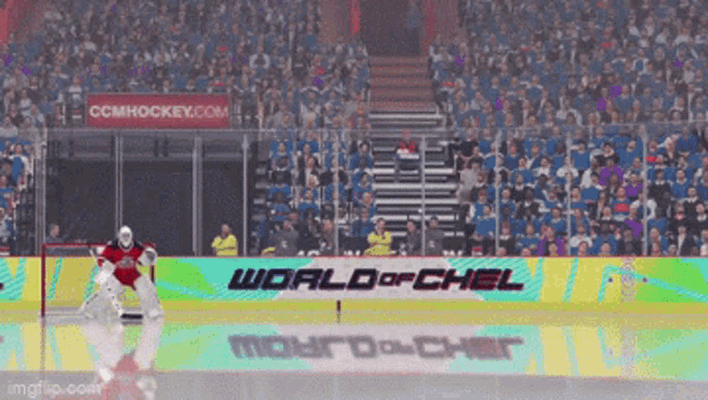 a hockey game is being played in a stadium with a banner for world of chel