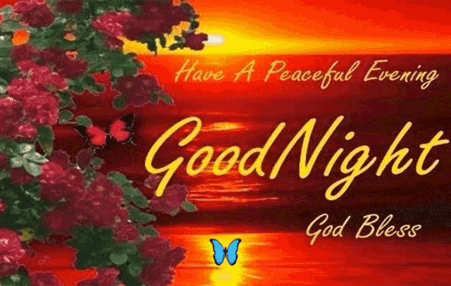 a good night card with flowers and butterflies and the words `` have a peaceful evening good night god bless '' .