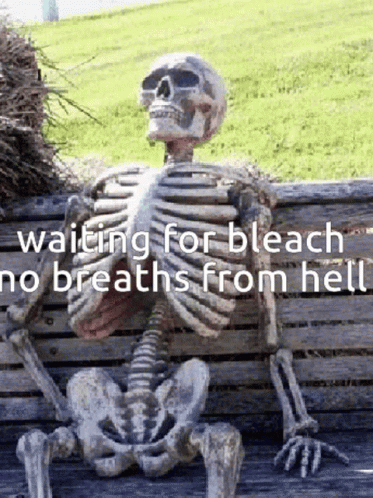 Bleach Hell Arc Waiting For Bleach GIF - Bleach Hell Arc Waiting For Bleach Bleach GIFs