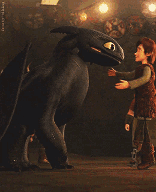 toothless and hiccup from how to train your dragon are fighting