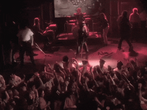a crowd of people watching a band on stage