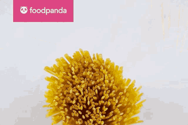 Foodpanda Delivery GIF - Foodpanda Food Panda GIFs