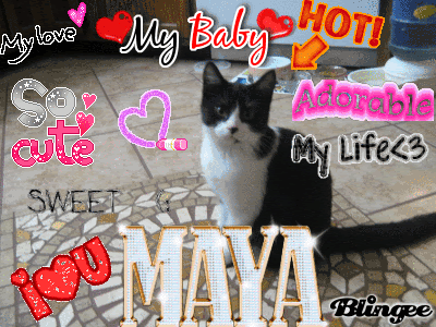 Love Maya GIF - Love Maya GIFs