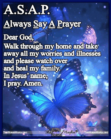 a blue butterfly with the words a.s.a.p. always say a prayer dear god on it