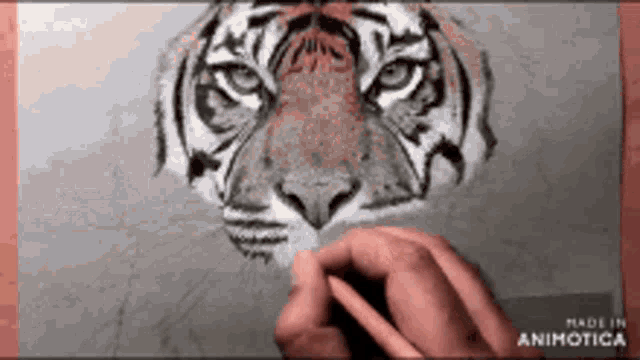 a person is drawing a tiger 's face on a piece of paper