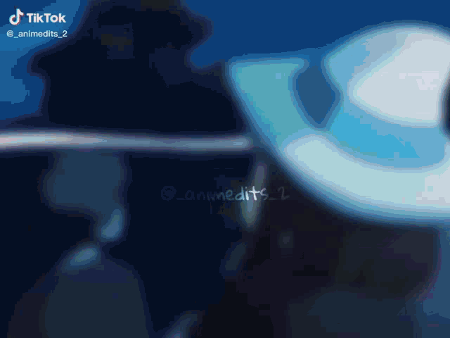 a tiktok video of a person wearing a cowboy hat and a sword