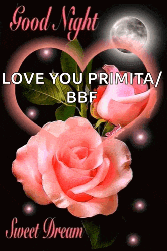a greeting card that says good night love you primita