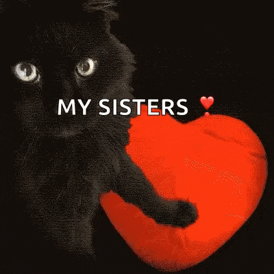 a black cat holding a red heart with the words you 're pawsome my sisters
