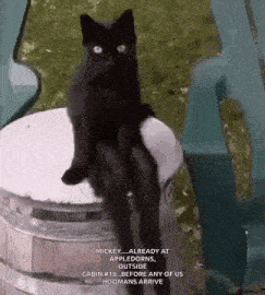 a black cat is sitting on top of a barrel with its legs crossed .