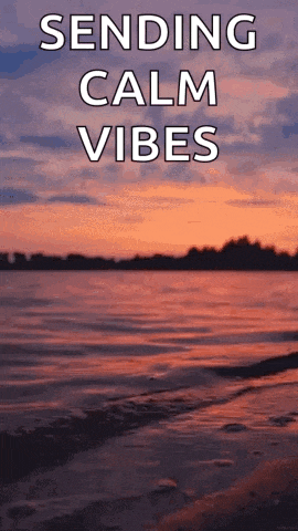 a sunset over a lake with the words `` sending calm vibes ''