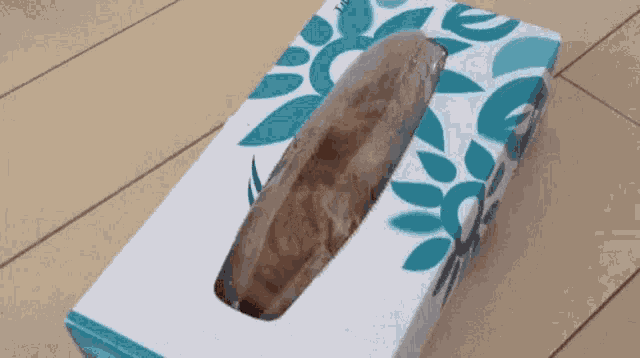 a box of tissues is sitting on a wooden floor with a piece of bread sticking out of it .