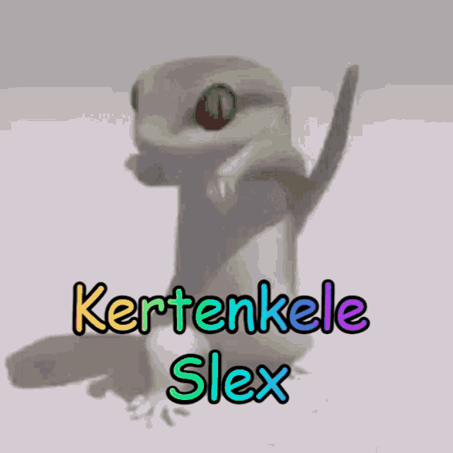 Slex Kertenkele GIF - Slex Kertenkele GIFs