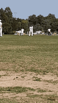 a group of people are playing a game of cricket