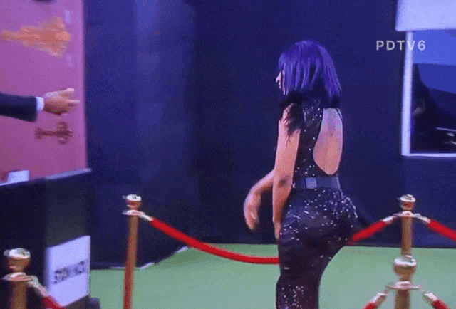 a man in a suit shakes a woman 's hand in front of a sign that says pdtv6