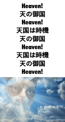 a grumpy cat in the clouds with the words heaven in black