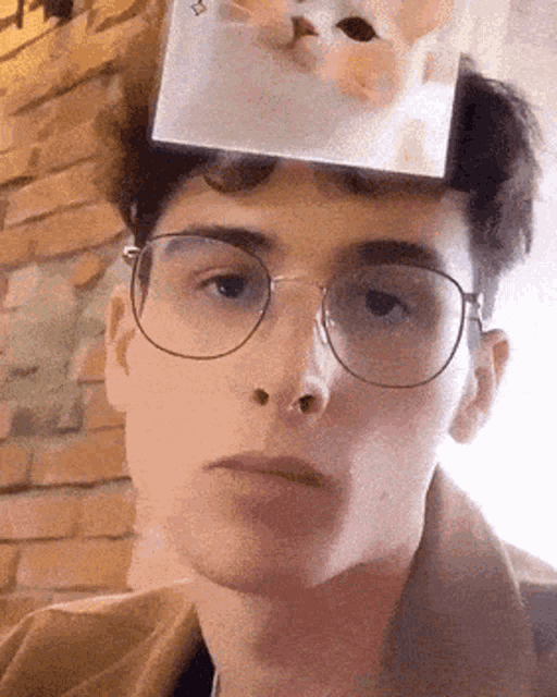 Bartek Kaszuba Kaszuba GIF - Bartek Kaszuba Kaszuba Which Cat Are You GIFs